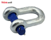 Thinkwell US Type G215 Round Pin Chain Shackle