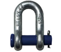 Thinkwell US Type G215 Round Pin Chain Shackle