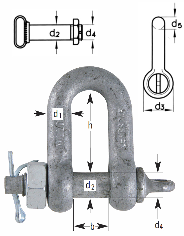Forged Galvanized DIN 82101 Towing Shackle