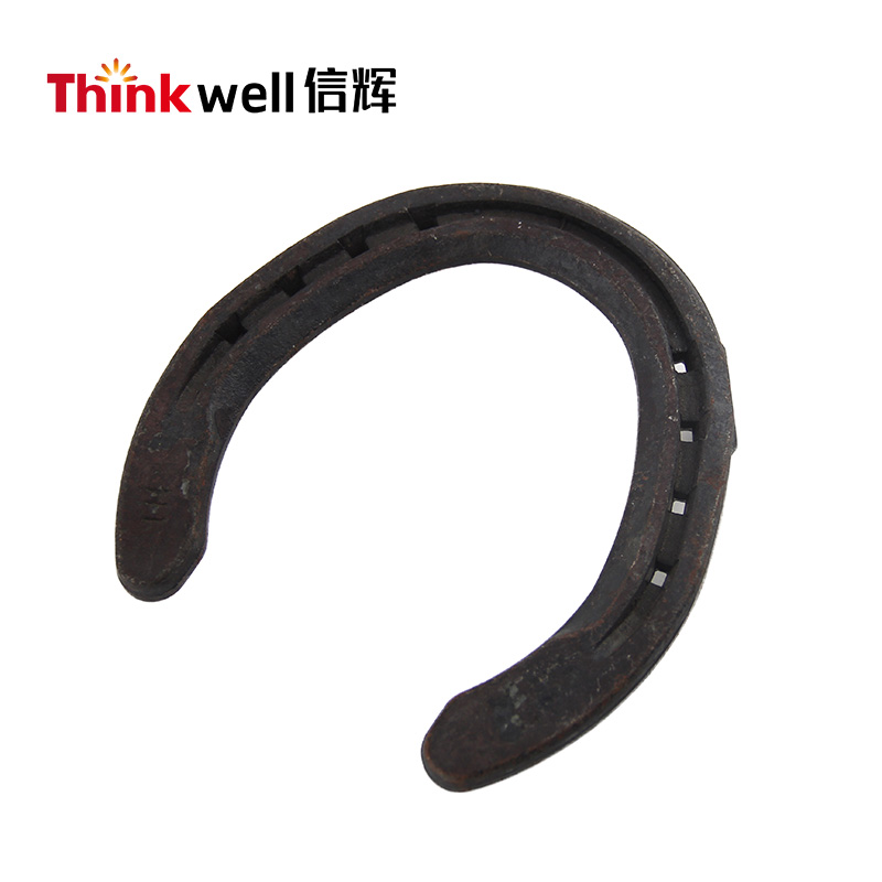 Race Steel Horseshoe