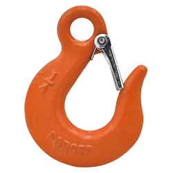 Eye Slip Hook with Latch