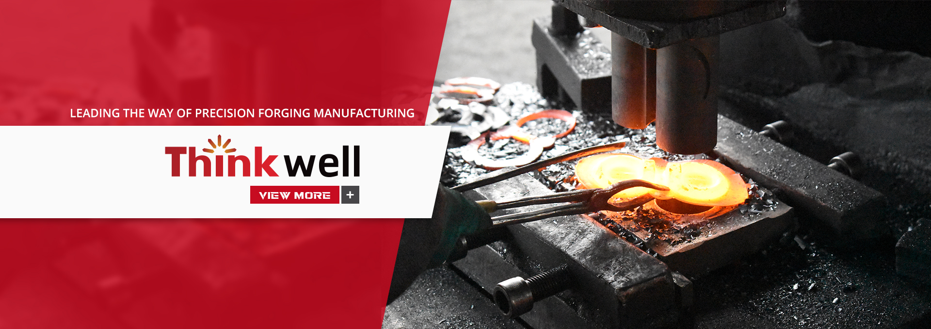 Thinkwell Company