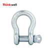 US Type G209 Screw Pin Anchor Shackle 