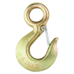 Eye Hook with Latch